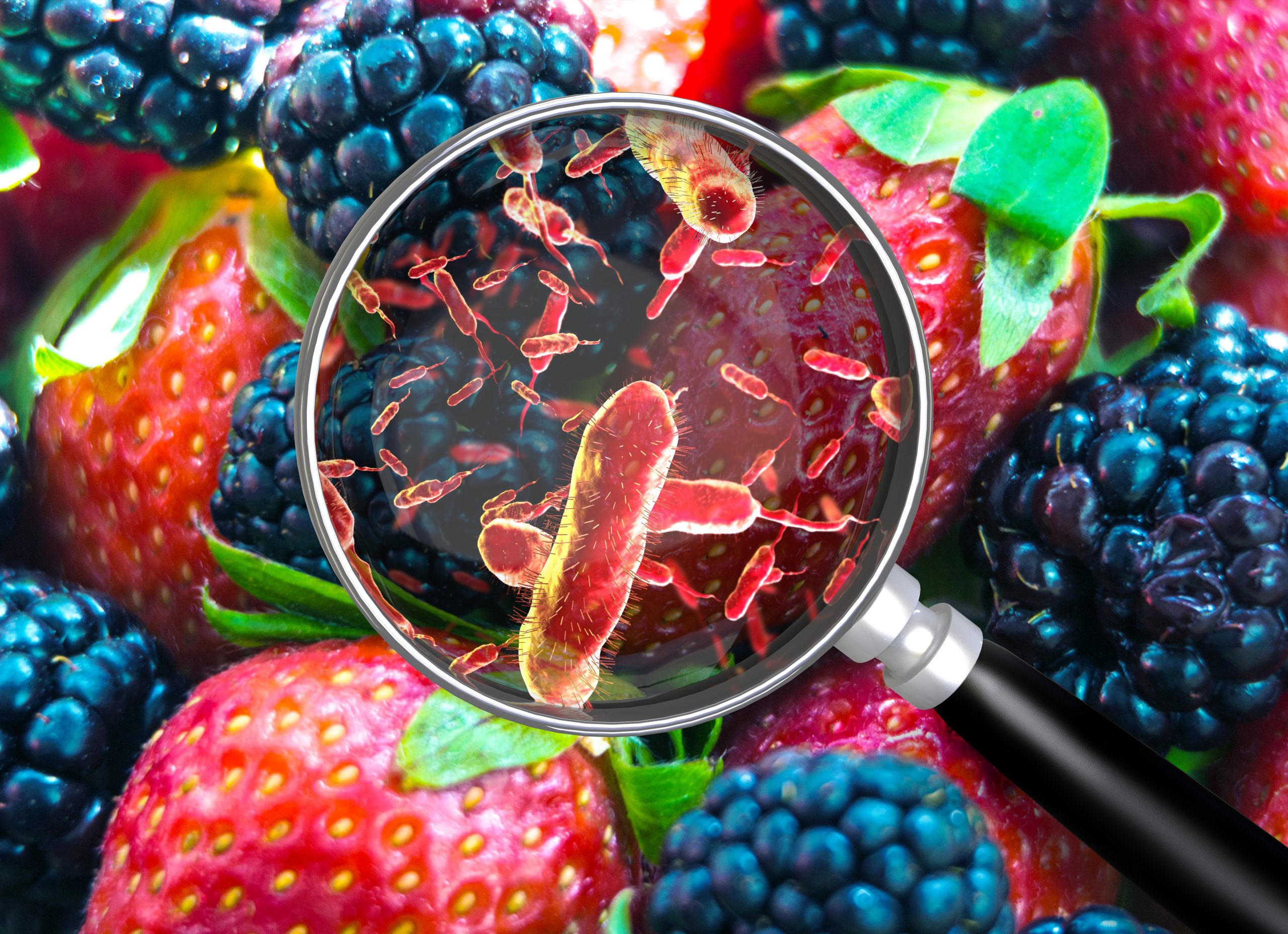 Microbes in fruit