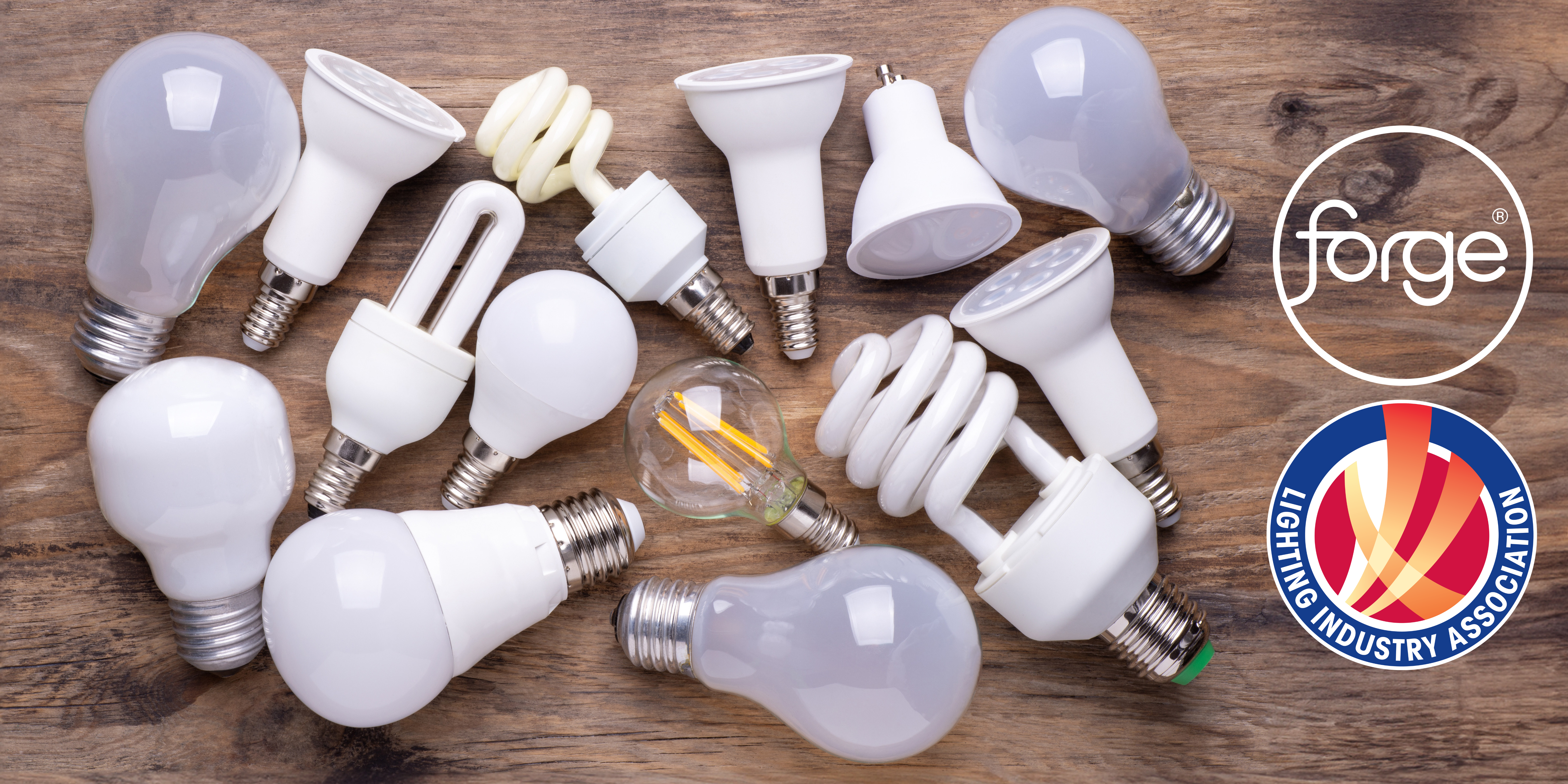 Different lightbulbs showing the evolution and milestones of the lighting industry