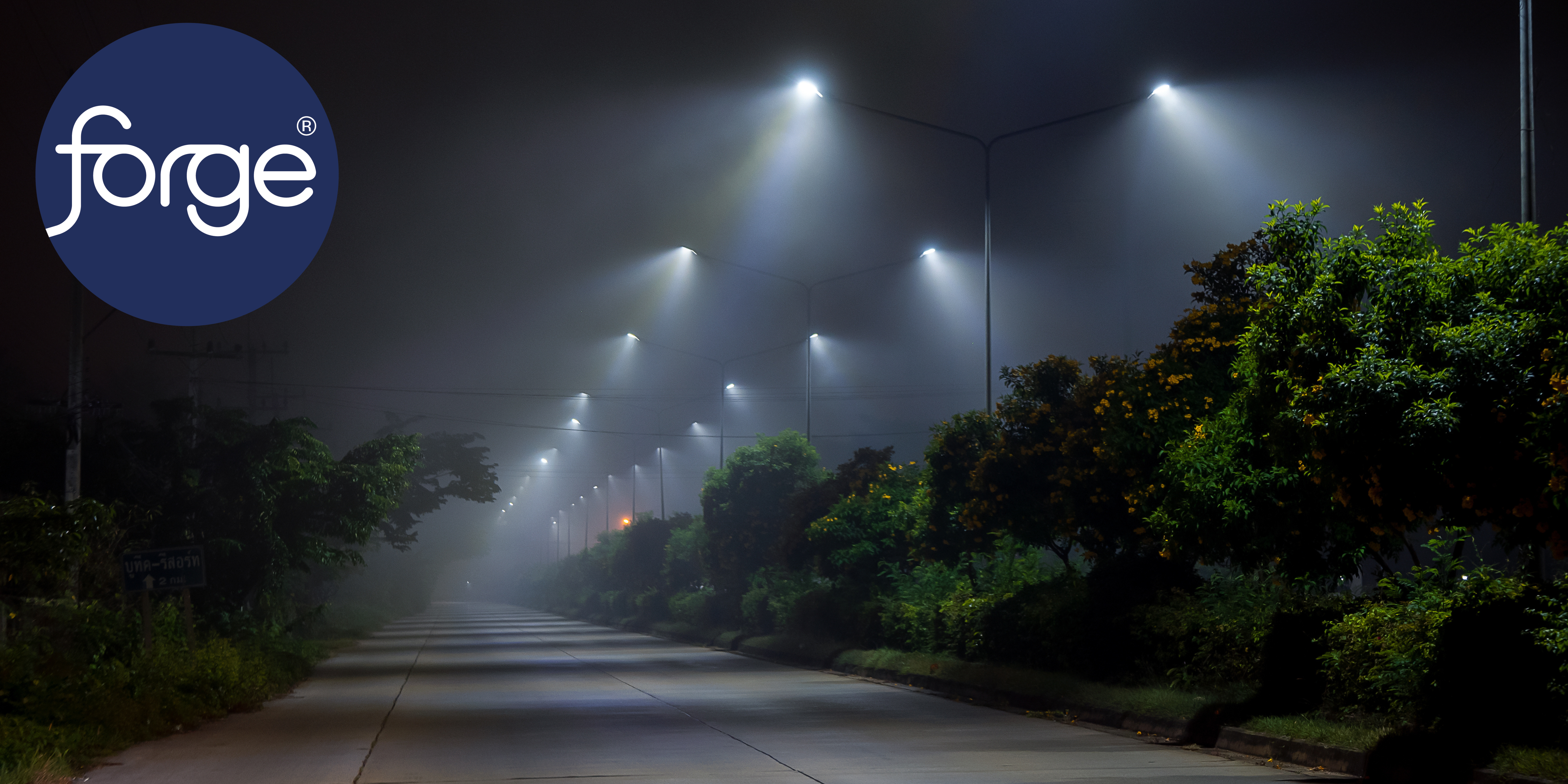 The impact of street lighting on our ecosystem